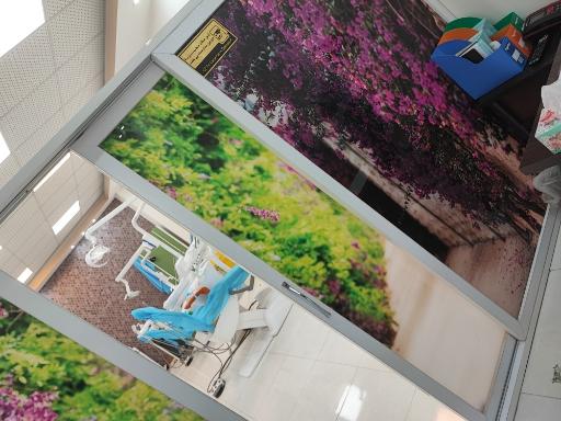 عکس دکتر نیلوفر محقق دکترای دندانپزشکی