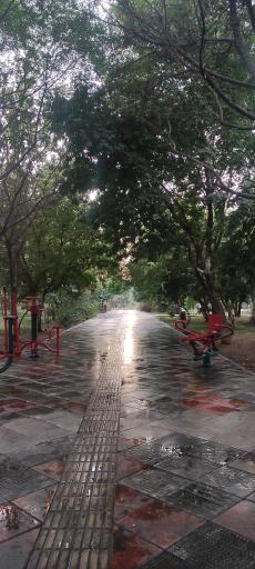 عکس بوستان سیلن