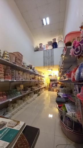 عکس پلاسکو بلوط