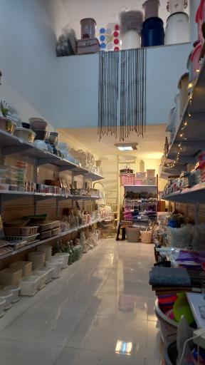 عکس پلاسکو بلوط