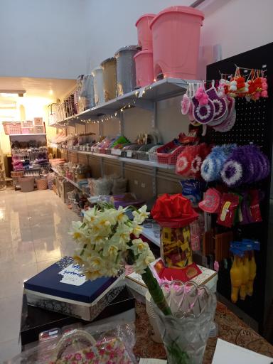 عکس پلاسکو بلوط