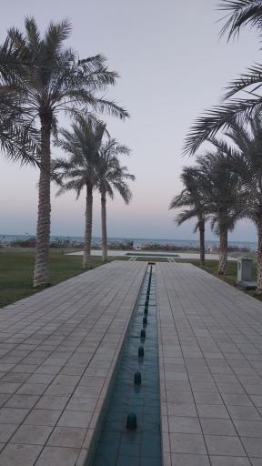 عکس هتل ساحلی نخل کنگان