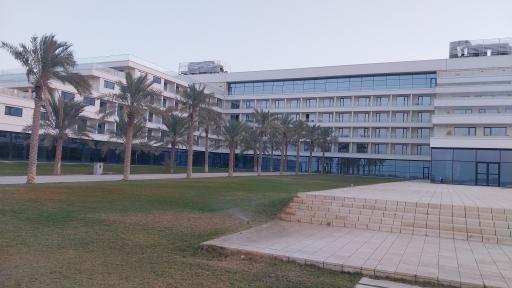 عکس هتل ساحلی نخل کنگان