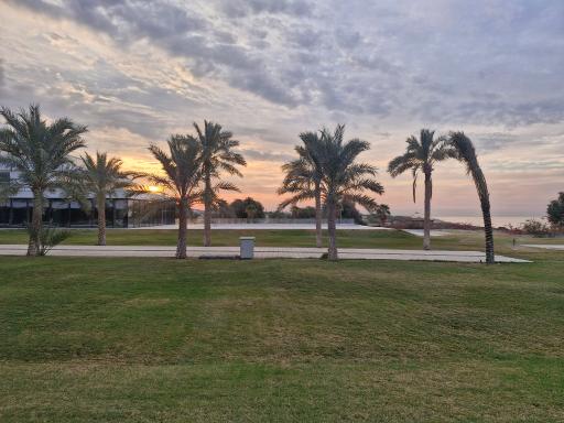 عکس هتل ساحلی نخل کنگان