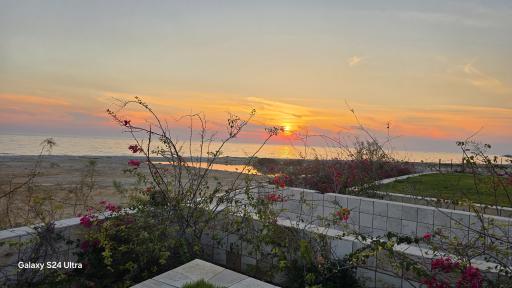 عکس هتل ساحلی نخل کنگان