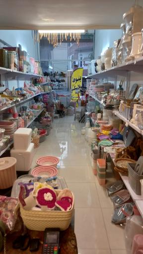 عکس پلاسکو بلوط