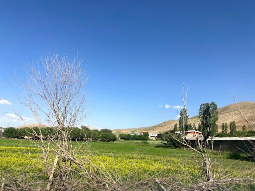 عکس رضور