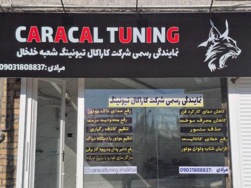 عکس کاراکال تیونینگ مرادی