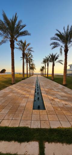 عکس هتل ساحلی نخل کنگان