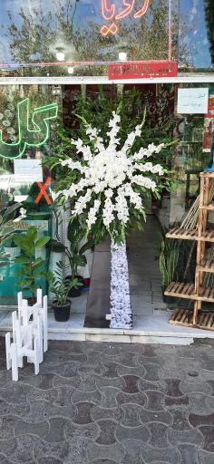عکس گل فروشی رویا گل