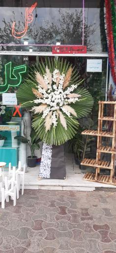 عکس گل فروشی رویا گل