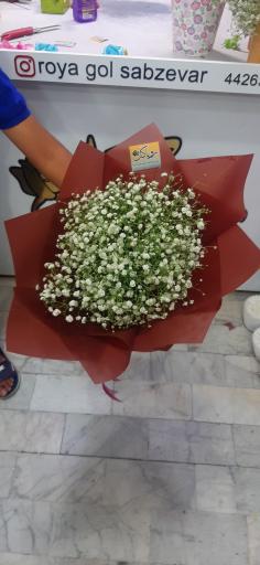 عکس گل فروشی رویا گل