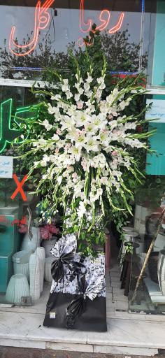 عکس گل فروشی رویا گل