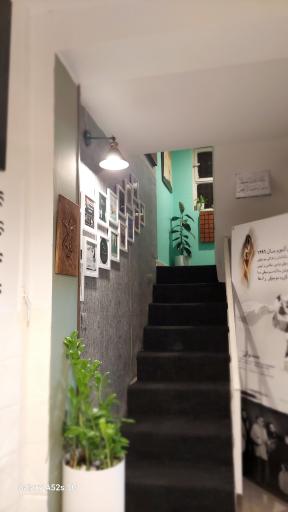 عکس آکادمی موسیقی لیلی (رادها)