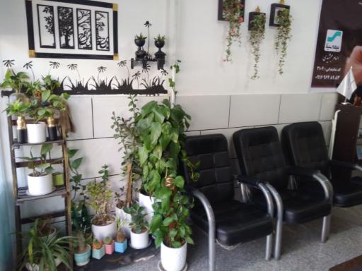 عکس دفتر بیمه سینا