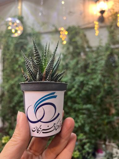 عکس خانه فرهنگ و هنر نگان