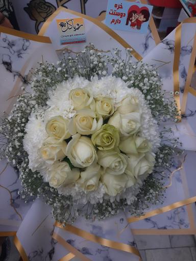 عکس گل فروشی رویا گل