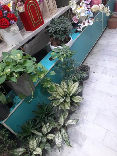 عکس گل فروشی رویا گل