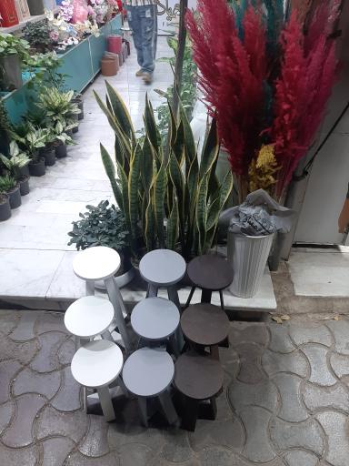 عکس گل فروشی رویا گل