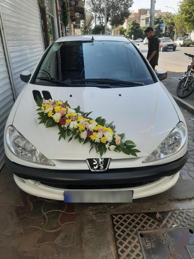 عکس گل فروشی رویا گل