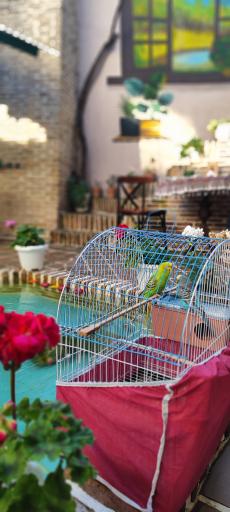 عکس عمارت تقوی کافه هور