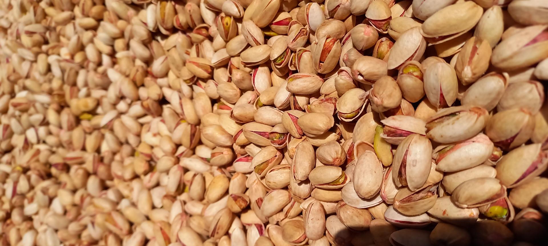 عکس خشکبار هادی