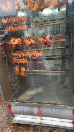 عکس پاچینی جوجه طلا