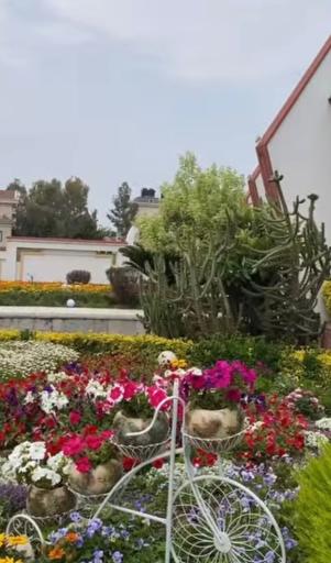 عکس ساحل هتل نارنجستان ایزدشهر