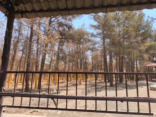 بوستان جنگلی سرخه حصار