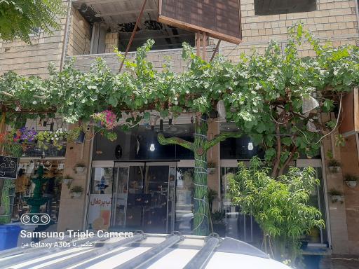 عکس بستنی فروشی 