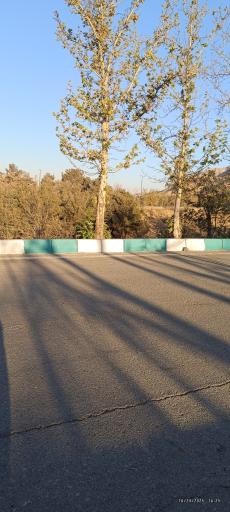 عکس بوستان جنگلی سرخه حصار