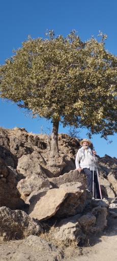 عکس بوستان جنگلی سرخه حصار