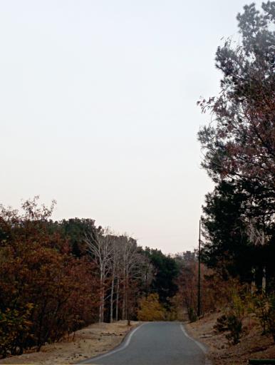 عکس بوستان جنگلی سرخه حصار