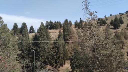 عکس بوستان جنگلی سرخه حصار