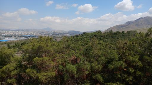 عکس بوستان جنگلی سرخه حصار