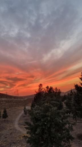 عکس بوستان جنگلی سرخه حصار