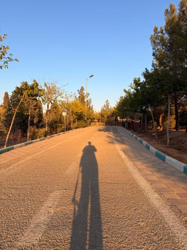 عکس بوستان جنگلی سرخه حصار