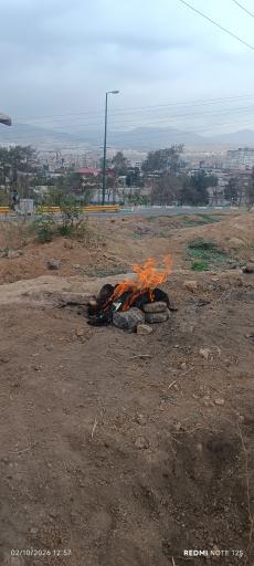 عکس بوستان جنگلی سرخه حصار