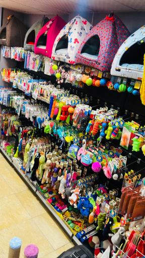 عکس پت خرید