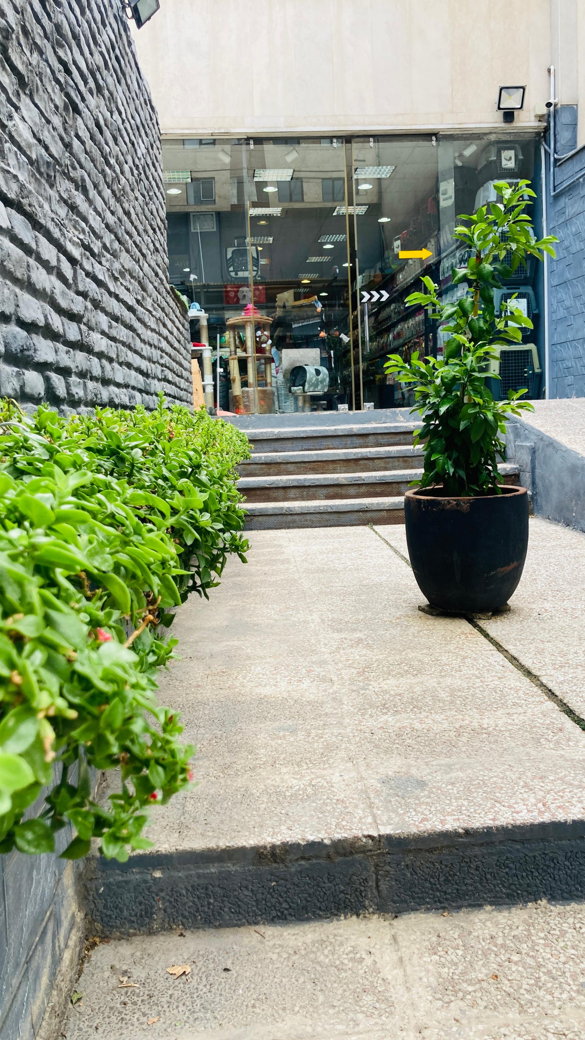 عکس پت خرید