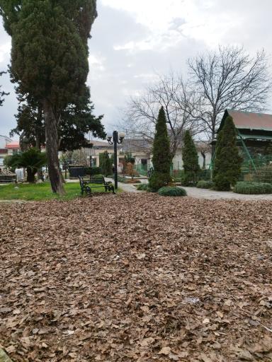 عکس پارک شهرداری نوشهر