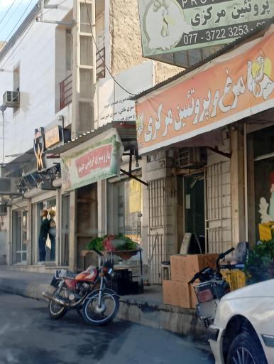 عکس مرغ و پروتئین مرکزی کنگان