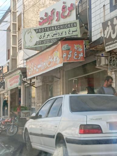 عکس مرغ و پروتئین مرکزی کنگان