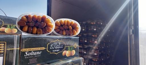 عکس خرمای ریحان