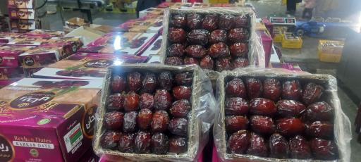 عکس خرمای ریحان