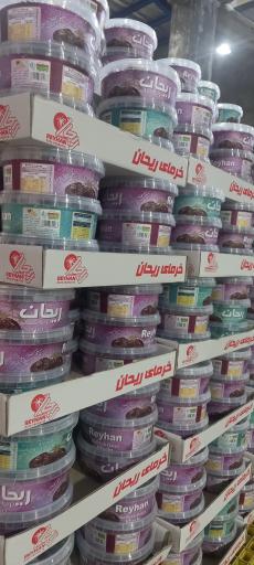 عکس خرمای ریحان