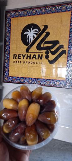 عکس خرمای ریحان