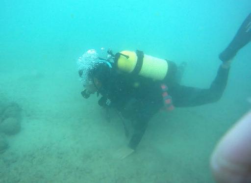 عکس مرکز غواصی یاس