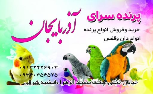 عکس پرنده سرای آذربایجان 