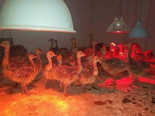 عکس دفتر شرکت تعاونی کشاورزی مهر سه فردوس 